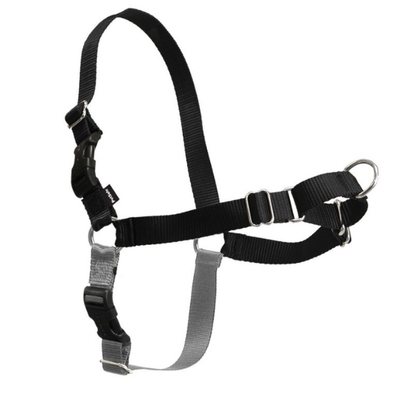 pettorina easy walk professional trixie immagine3