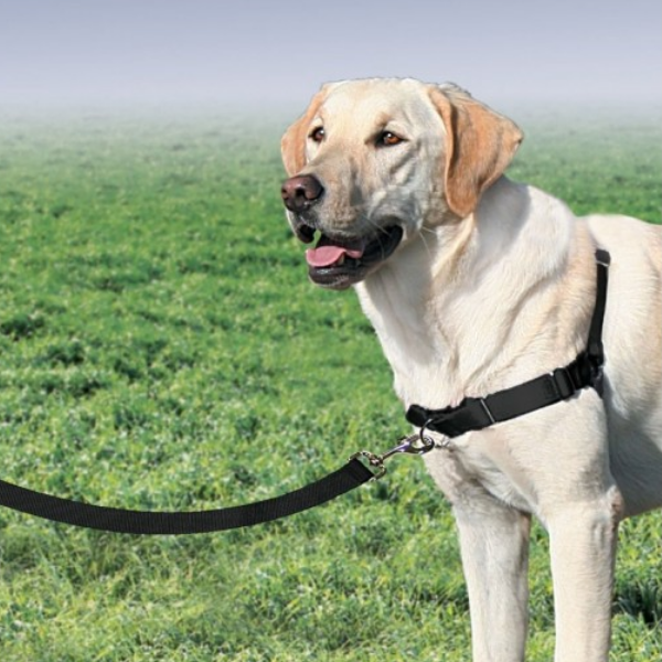 pettorina easy walk professional trixie immagine9