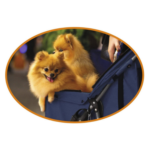 passeggino per cani croci immagine5