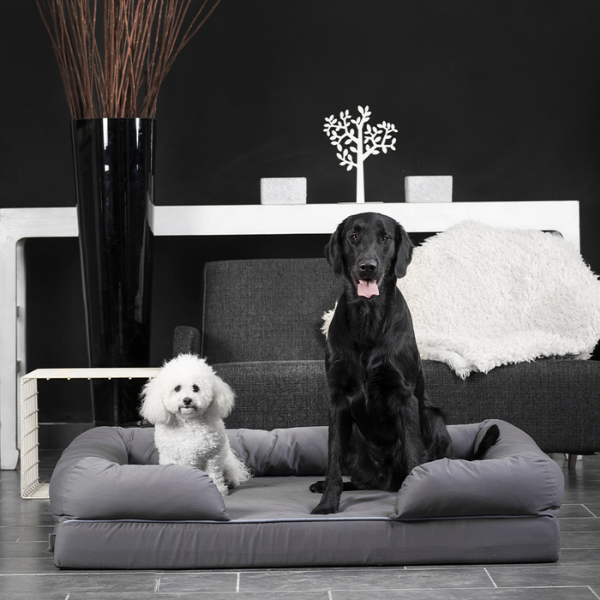 cuscino revenant limitless in memory foam croci immagine4