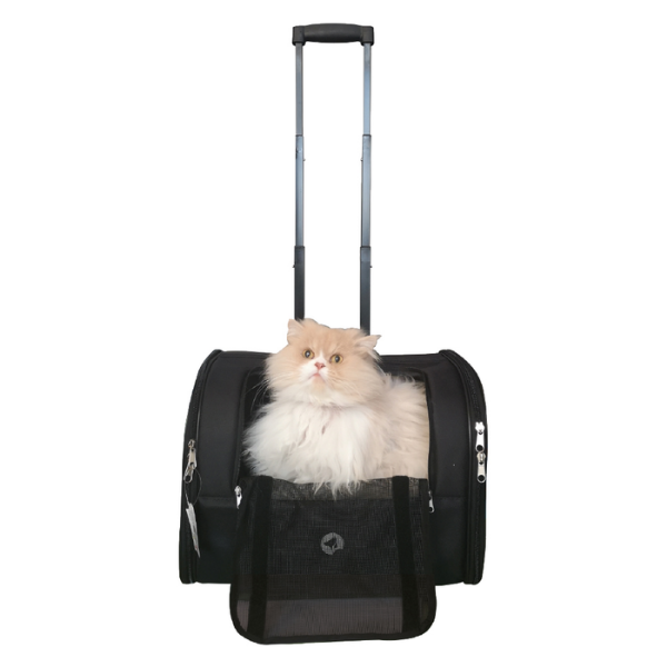 trasportino trolley jolie per animali croci immagine3