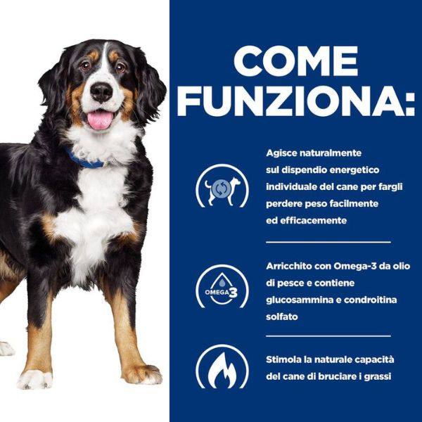 hill's prescription diet metabolic + mobility canine immagine6