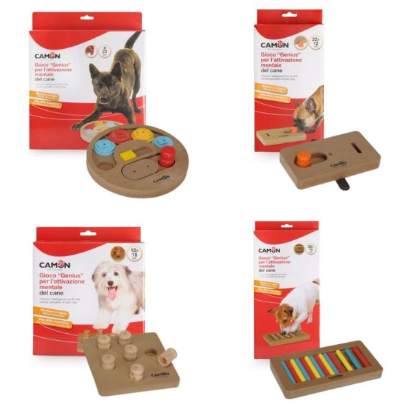 gioco attivazione mentale genius camon immagine2