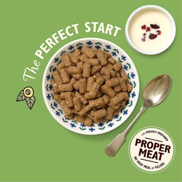 lily's kitchen breakfast crunch immagine3