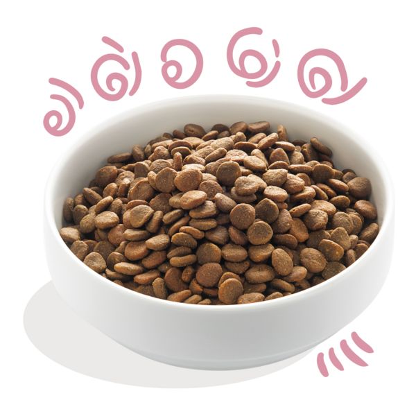 edgard & cooper puppy grain free anatra e pollo immagine3