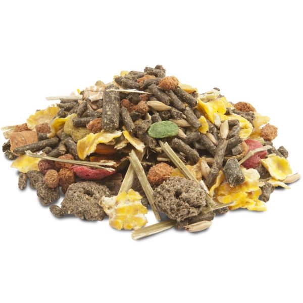 versele laga crispy muesli guinea pigs per porcellini d'india immagine3