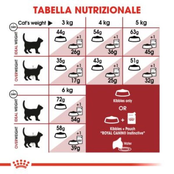 royal canin fit 32 adult cat immagine5