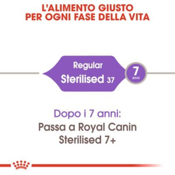 royal canin sterilised 37 cat food immagine8