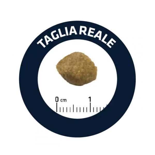 advance veterinary diets hypoallergenic immagine2