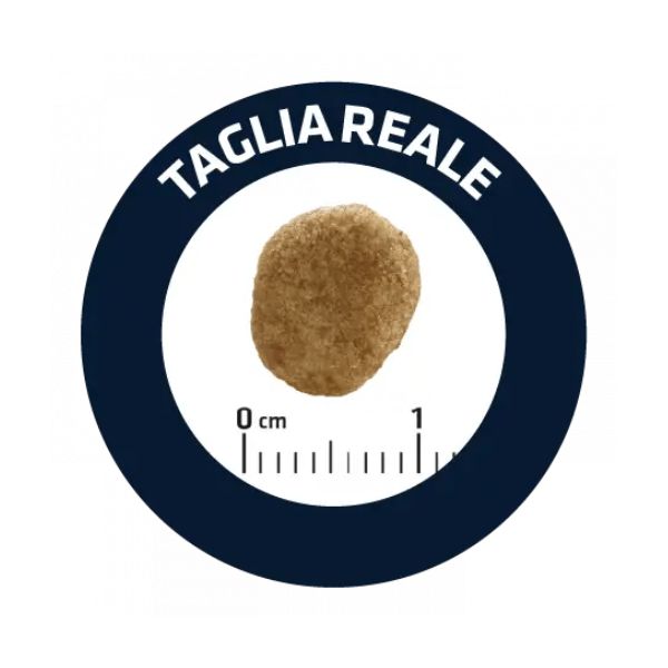 advance veterinary diets weight balance cat immagine2