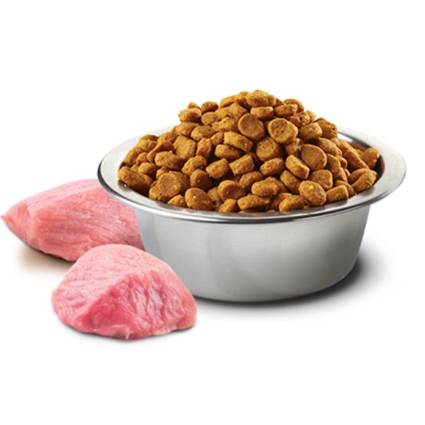 farmina n&d grain free pumpkin adult medium/maxi agnello e mirtillo immagine2