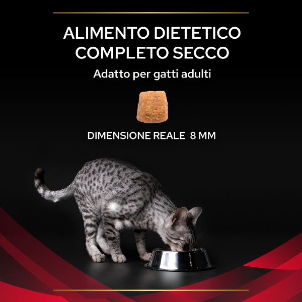 purina pro plan veterinary diets dm diabetes management immagine5