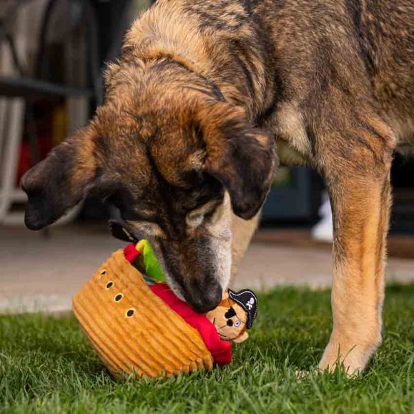 peluche interattivo hide&seek per cani croci immagine9