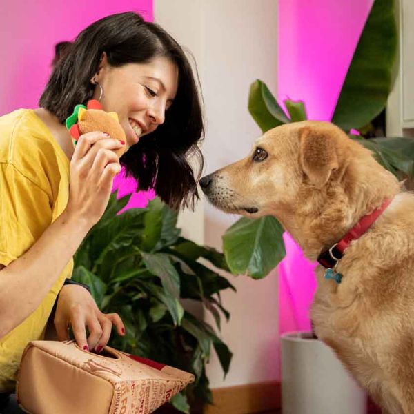 peluche interattivo hide&seek per cani croci immagine7