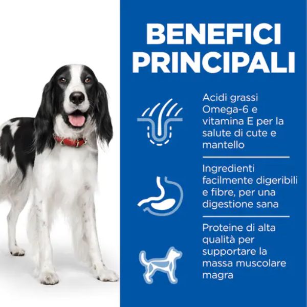 hill's science plan medium adult alimento per cani con pollo immagine5