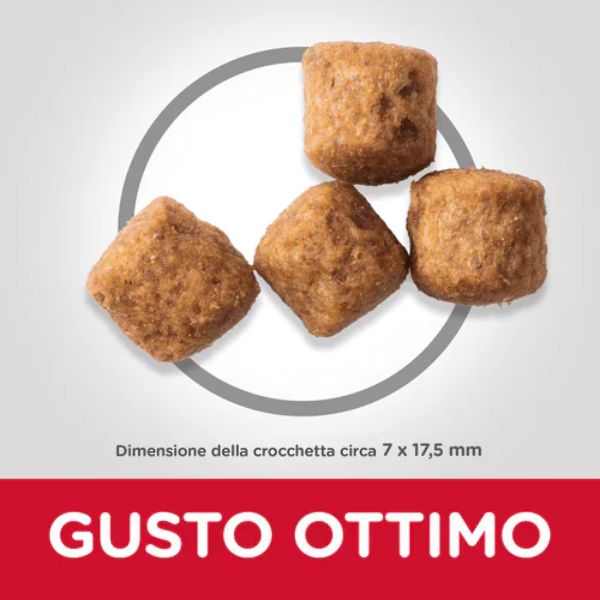 hill's science plan perfect weight large adult alimento per cani con pollo immagine3