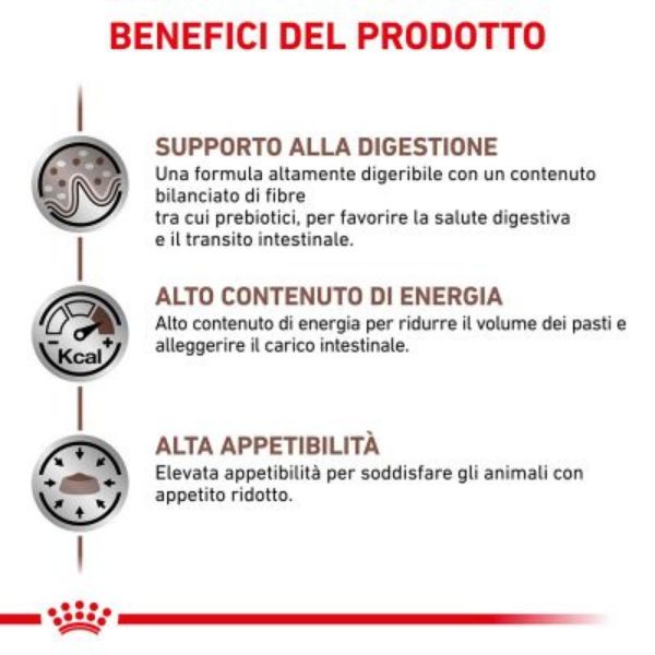 royal canin veterinary diet gastrointestinal secco feline immagine3