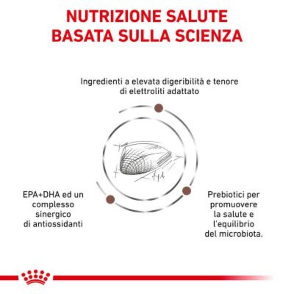 royal canin veterinary diet gastrointestinal secco feline immagine4