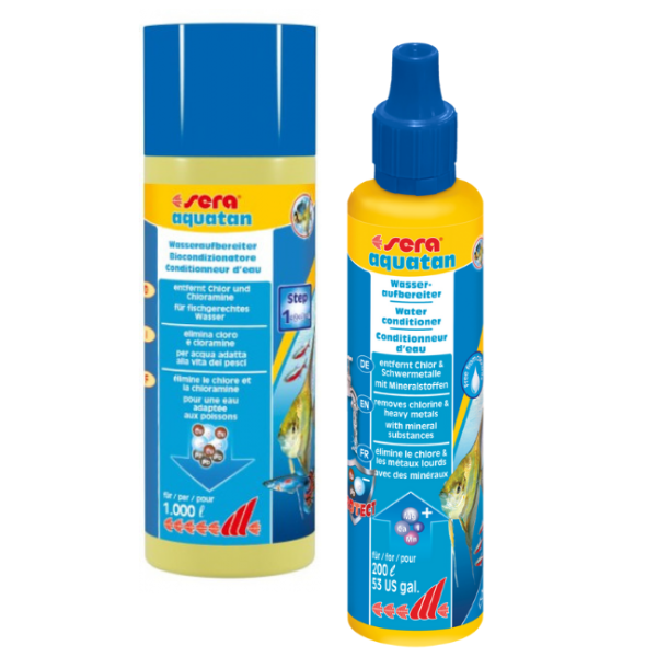 sera aquatan immagine4