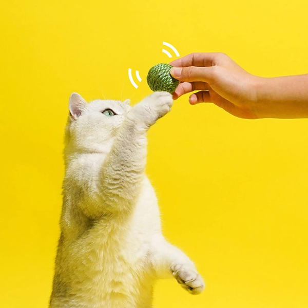 gioco per gatti baccello di pisellini con palline catnip estraibili leopet immagine5