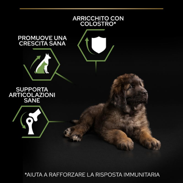 purina pro plan large robust puppy healthy start crocchette cane immagine7