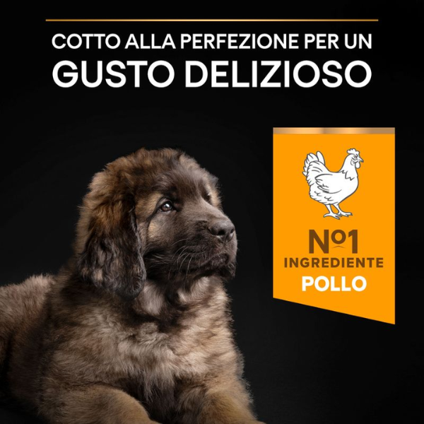 purina pro plan large robust puppy healthy start crocchette cane immagine5