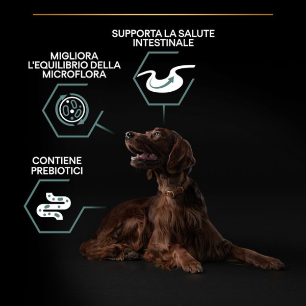 purina pro plan large adult athletic sensitive digestion agnello e riso immagine6