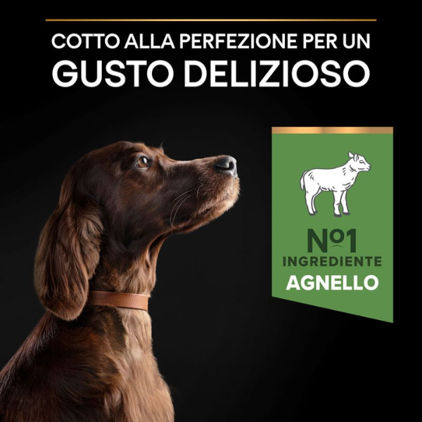purina pro plan large adult athletic sensitive digestion agnello e riso immagine5