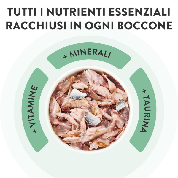 schesir cat soft adult filetti in gelatina alimento completo bustine 85 gr immagine6