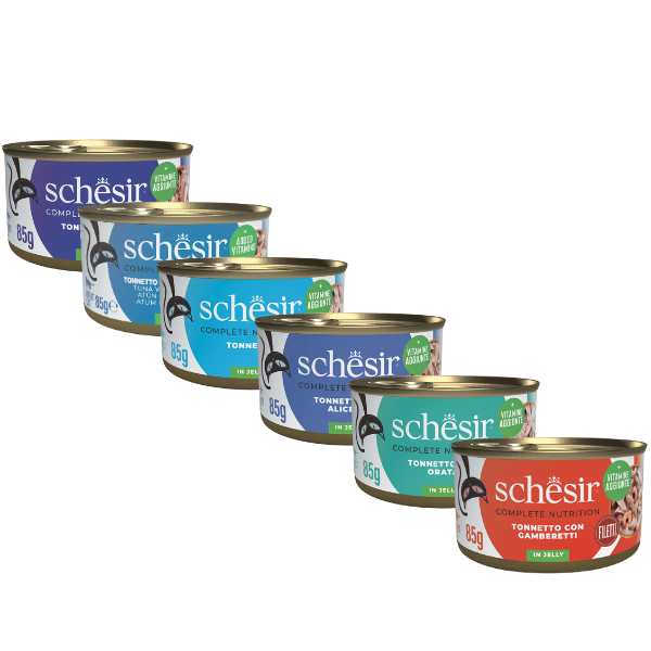 Schesir Cat Soft Adult filetti in gelatina alimento completo lattina 85 gr