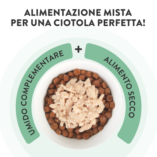 schesir cat soft adult filetti in gelatina alimento complementare lattina 70 gr immagine3