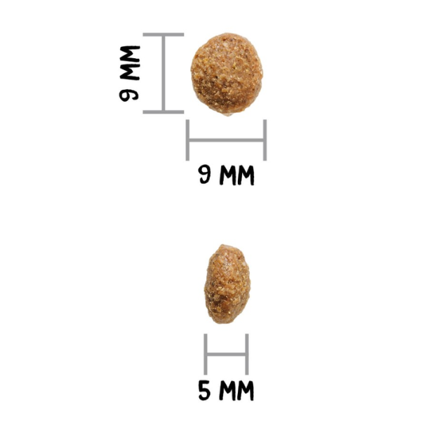 ownat author natural all breeds adult con agnello fresco e maiale immagine5