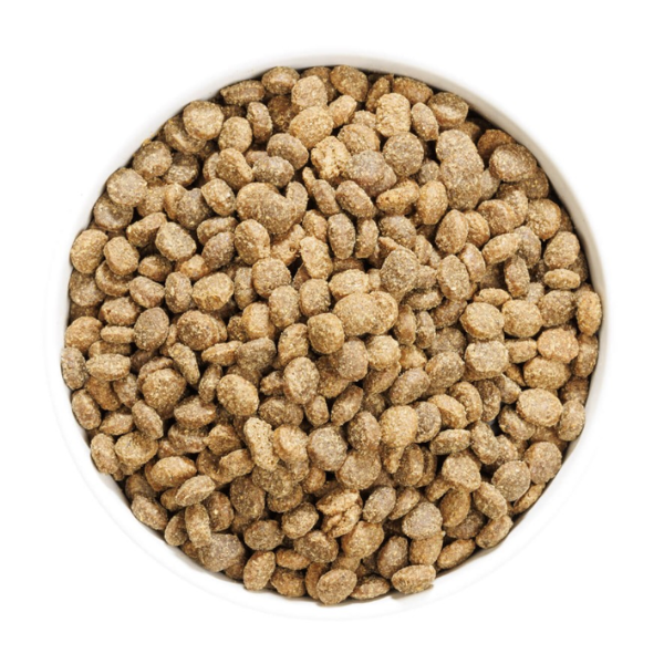 ownat author natural all breeds adult con agnello fresco e maiale immagine4