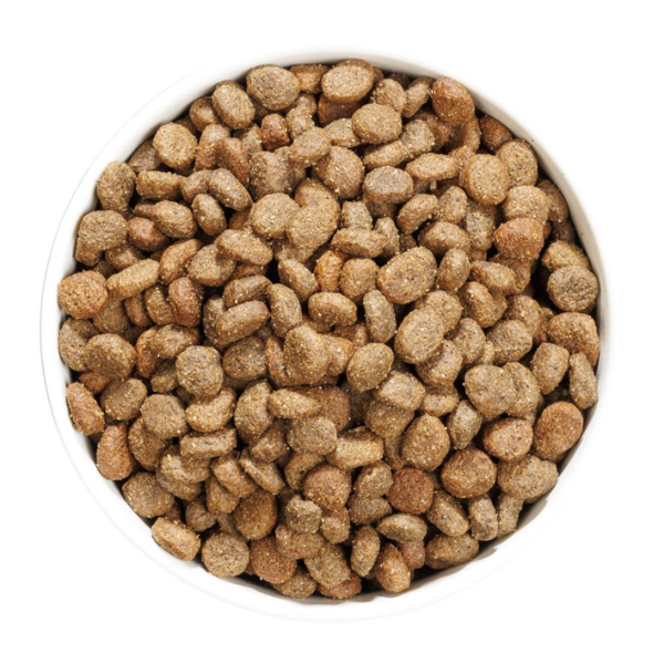 ownat grain free hypoallergenic mono-proteic mini adult con agnello fresco immagine4