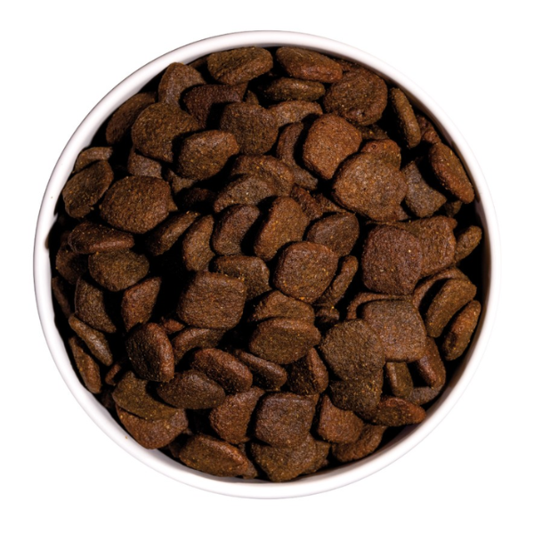 ownat grain free hypoallergenic mono-proteic all breeds adult con agnello fresco immagine2