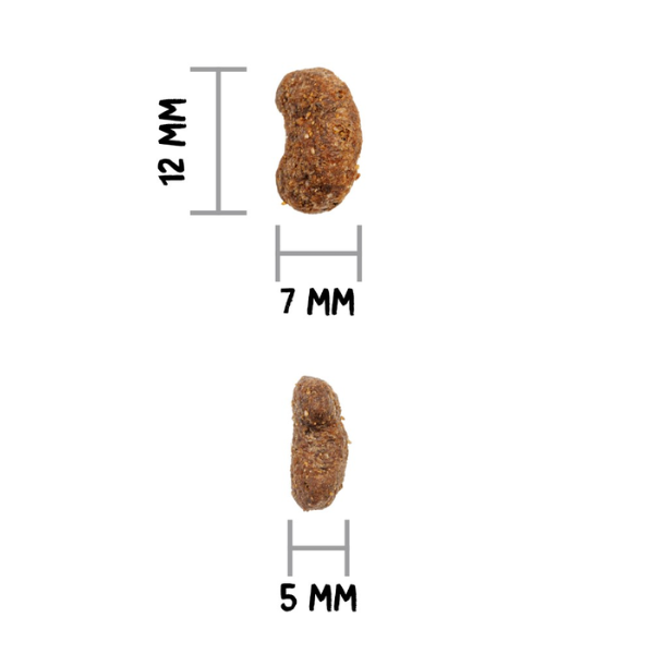 ownat care cat adult urinary linea vet immagine4