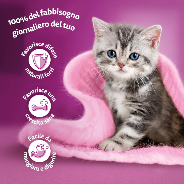 whiskas pure delight junior ricette in gelatina multipack 4 pezzi da 85 gr immagine5