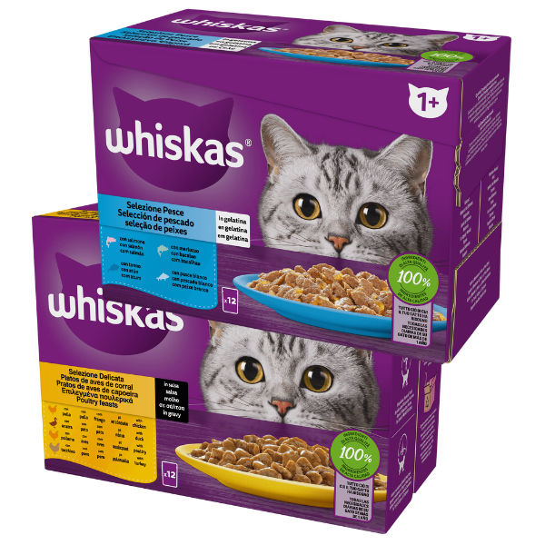 whiskas ricette in salsa multipack 4 pezzi da 85 gr immagine2