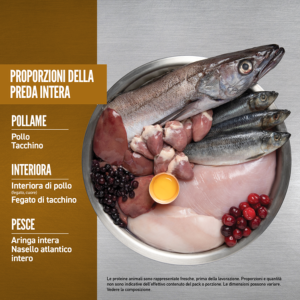 orijen original cat food immagine5