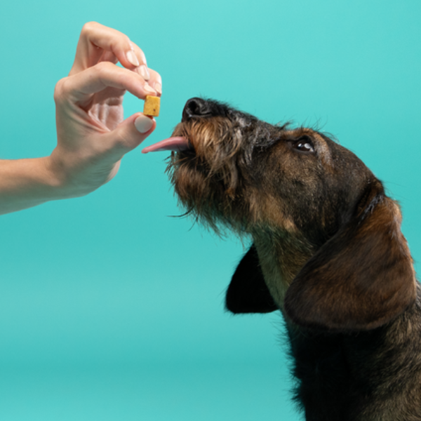 edgard & cooper bites snack per cani small breeds low fat grain free 50 gr immagine2