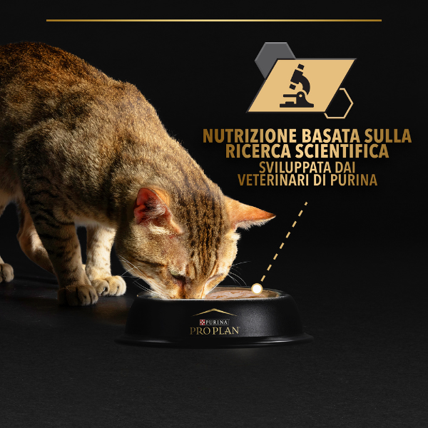 purina pro plan senior 7+ longevis umido gatti mousse tonno 85 g immagine5