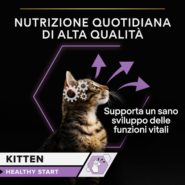 purina pro plan kitten healthy start umido gatti in salsa tacchino multipack 10x85g immagine7