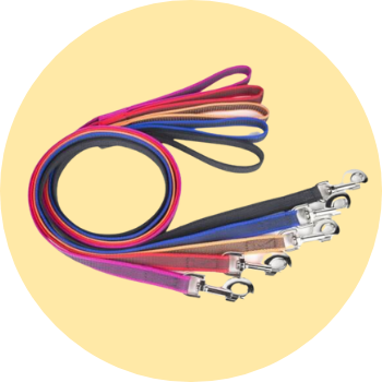 Guinzagli per cani
