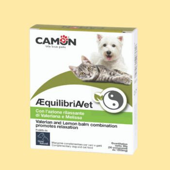 Disturbi del comportamento