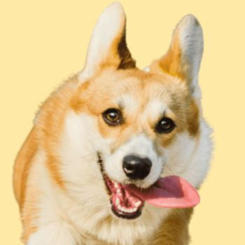 Benessere e serenità