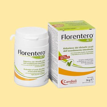 Fermenti lattici e intestino