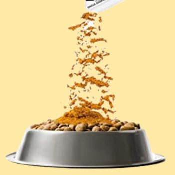 Complementi e integratori