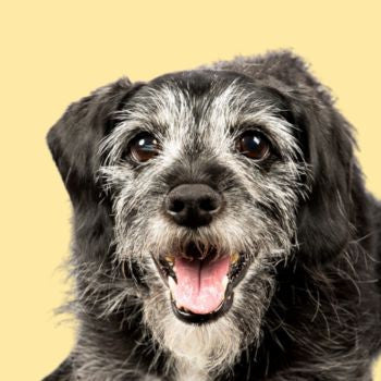 Integratori per maturi e anziani