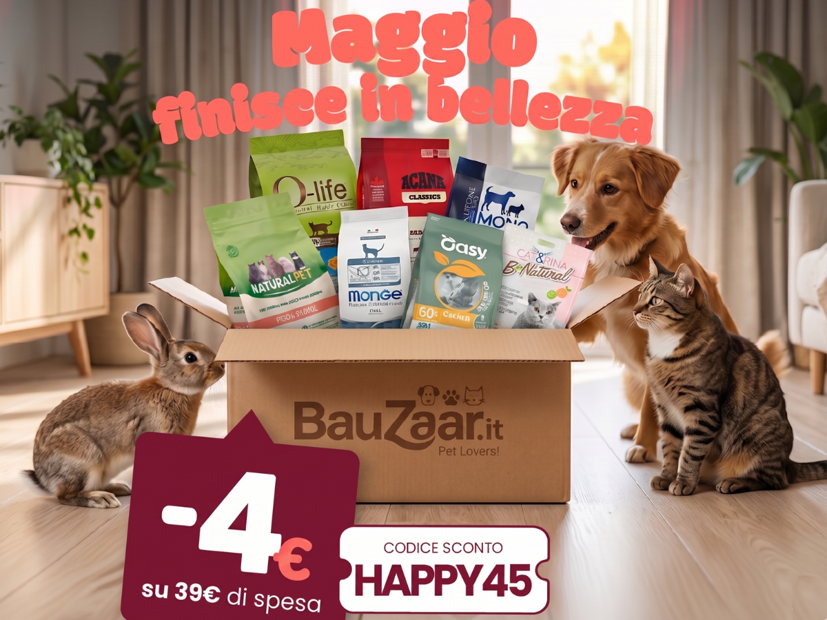 Bauzaar.it