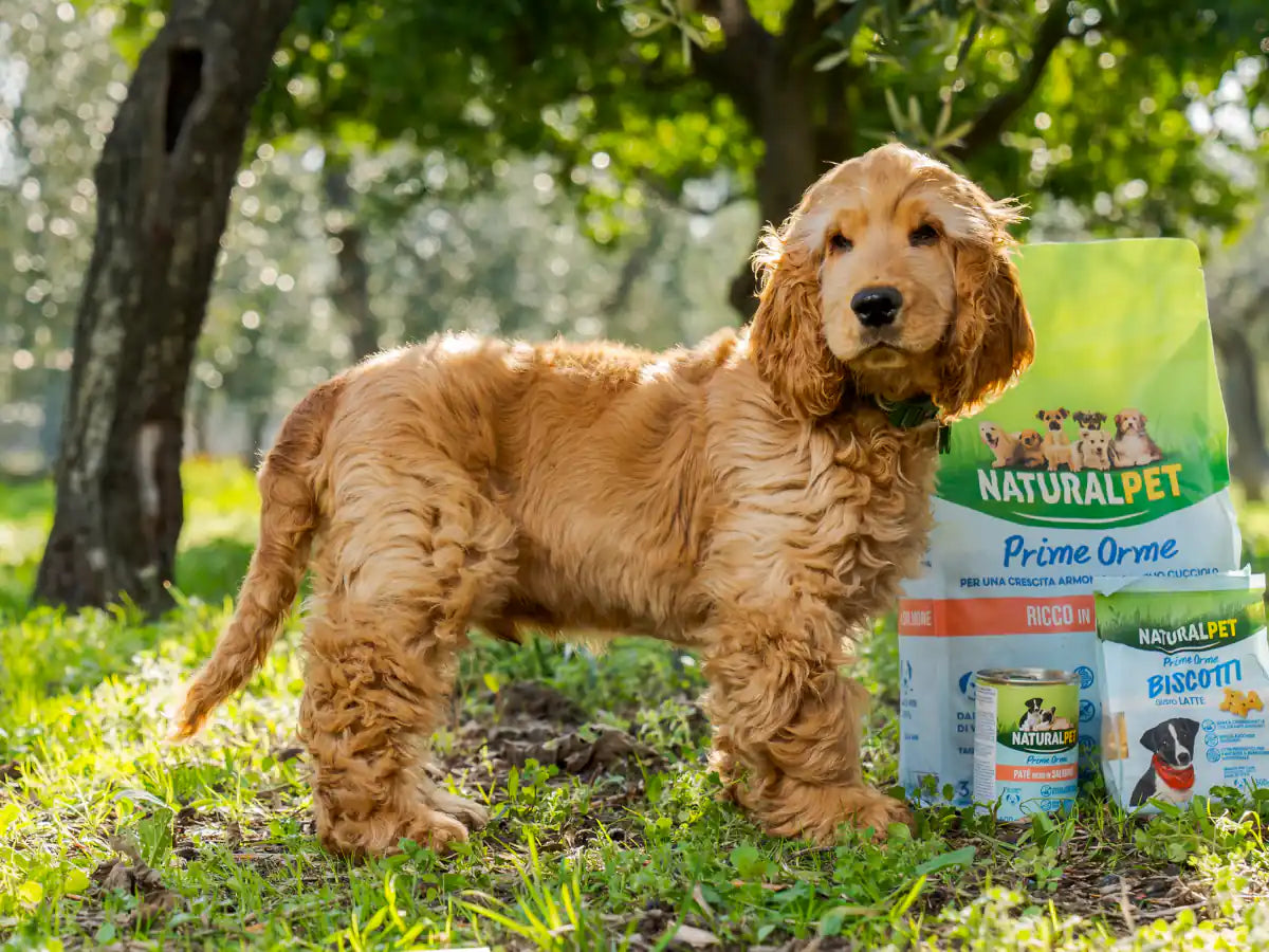 NaturalPet